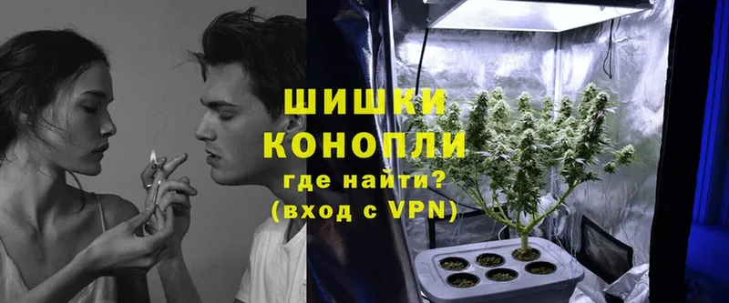 Бошки Шишки план  Изобильный 